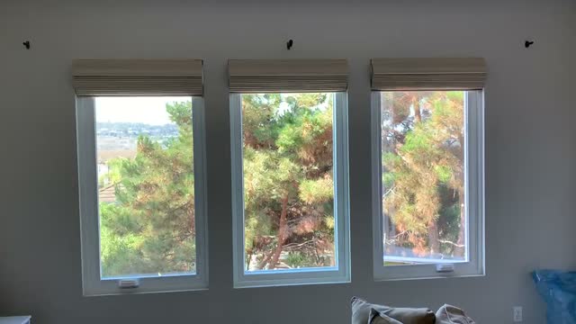 Plantation Shutter Walkthrough thumbnail